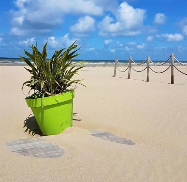 Lesparisnormands - Magnifique Vue Mer - Centre Et Plage Villers-sur-Mer Esterno foto
